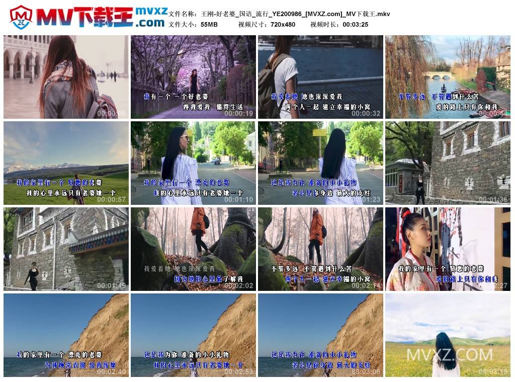 王刚-好老婆_国语_流行_YE200986